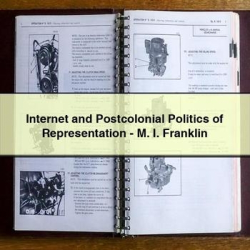 Internet and Postcolonial Politics of Representation - M. I. Franklin PDF Download