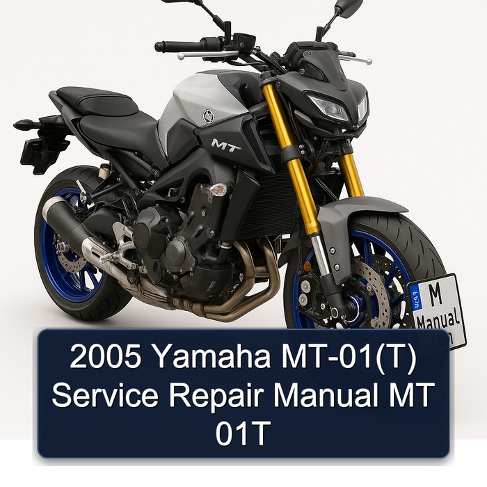 2005 Yamaha MT-01(T) Manual de servicio y reparación MT 01T