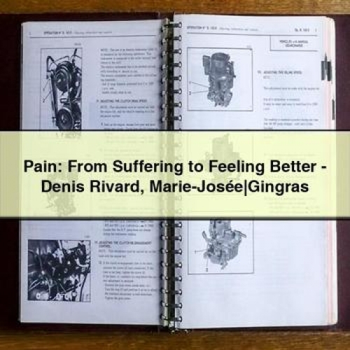 Pain: from Suffering to Feeling Better - Denis Rivard Marie-Josée|gingras PDF Download