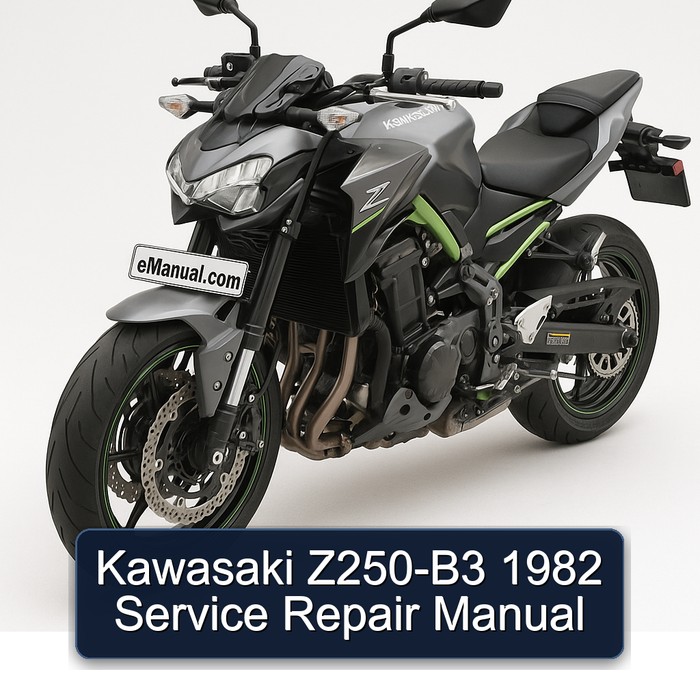 Kawasaki Z250-B3 1982 Manual de servicio y reparación