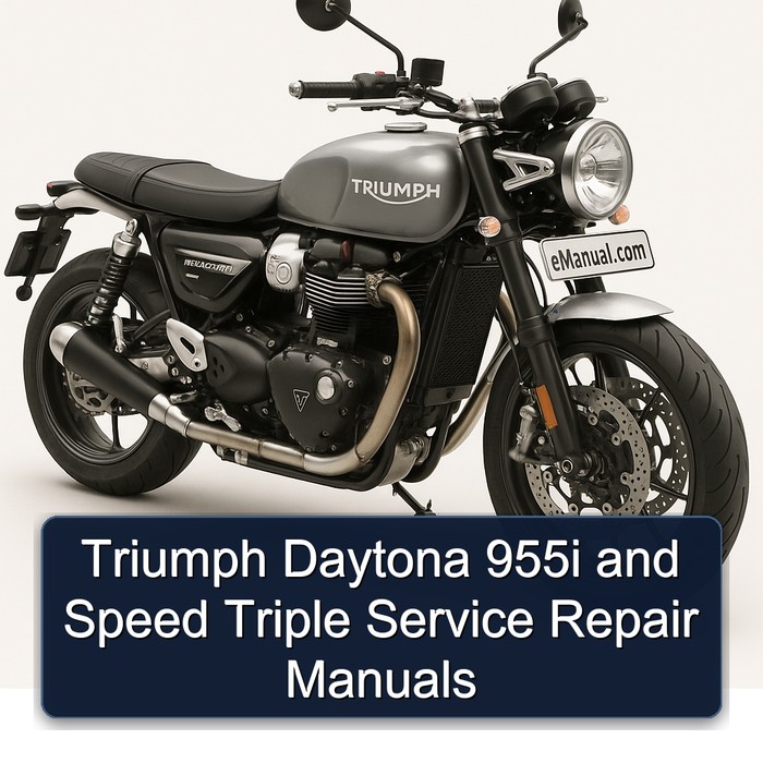 Triumph Daytona 955i and Speed Triple Manual de servicio y reparacións