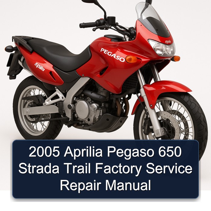 2005 Aprilia Pegaso 650 Strada Trail Factory Manual de servicio y reparación