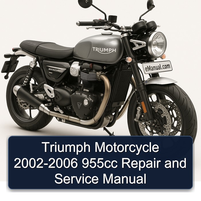 Triumph Motorcycle 2002-2006 955cc Repair and Service Manual