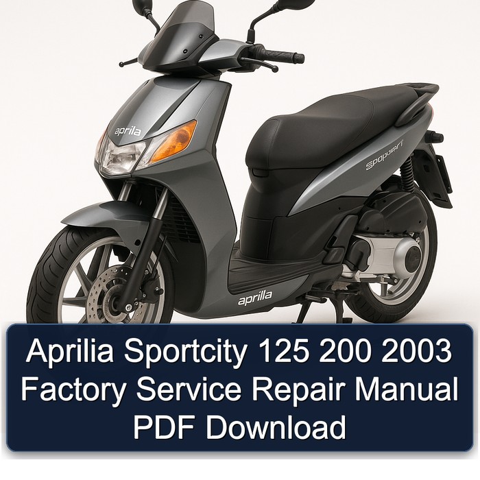 Aprilia Sportcity 125 200 2003 Factory Manual de servicio y reparación PDF Download