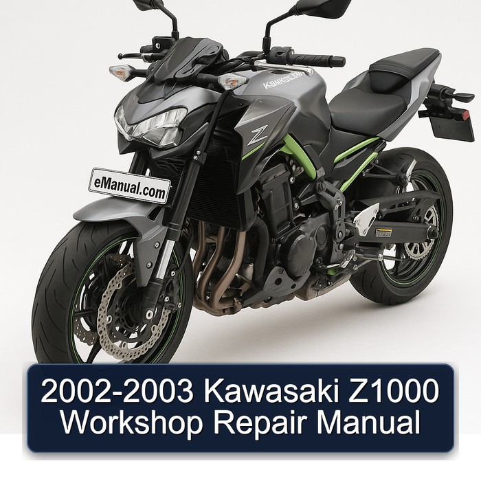 2002-2003 Kawasaki Z1000 Workshop Repair Manual