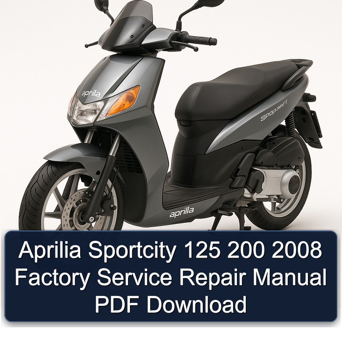 Aprilia Sportcity 125 200 2008 Factory Manual de servicio y reparación PDF Download
