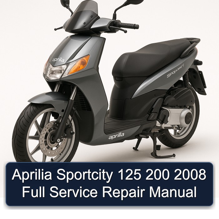 Aprilia Sportcity 125 200 2008 Full Manual de servicio y reparación