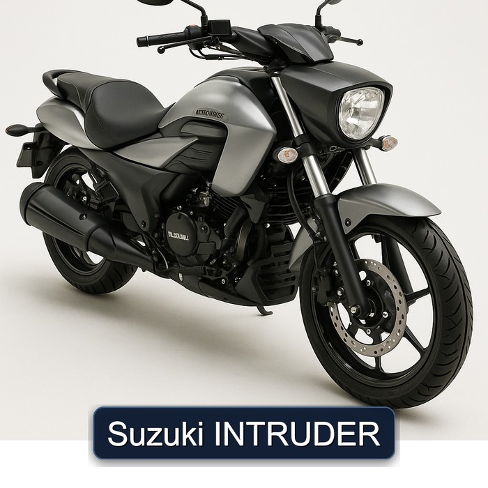 Suzuki INTRUDER
