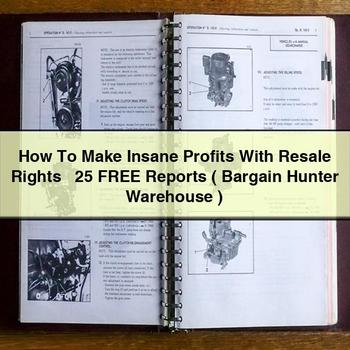 How to Make Insane Profits with Resale Rights + 25 Free Reports ( Bargain Hunter Warehouse ) PDF Download