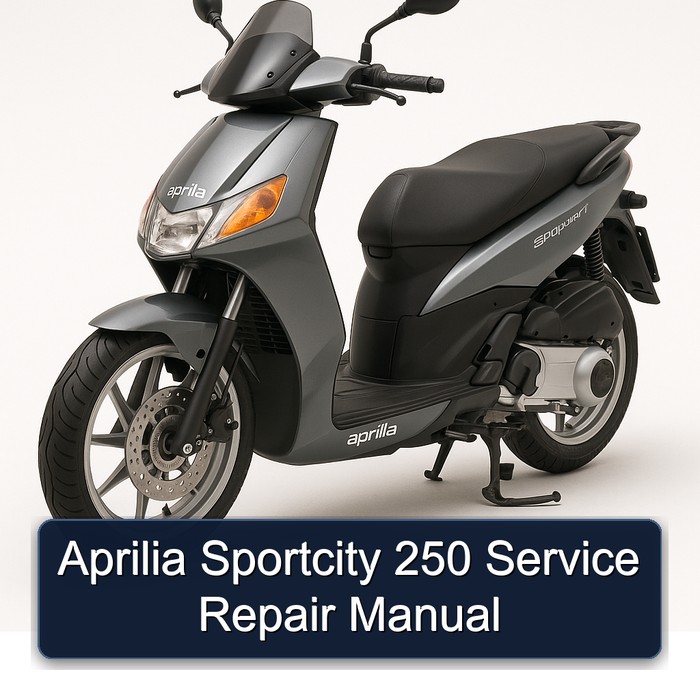 Aprilia Sportcity 250 Manual de servicio y reparación