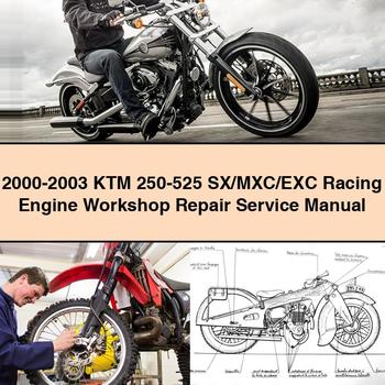 2000-2003 KTM 250-525 SX/MXC/EXC Racing Engine Workshop Repair Service Manual 