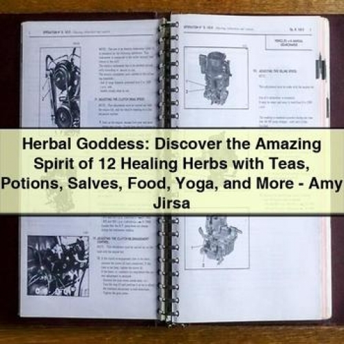 Herbal Goddess: Discover the Amazing Spirit of 12 Healing Herbs with Teas Potions Salves Food Yoga and More - Amy Jirsa PDF Download