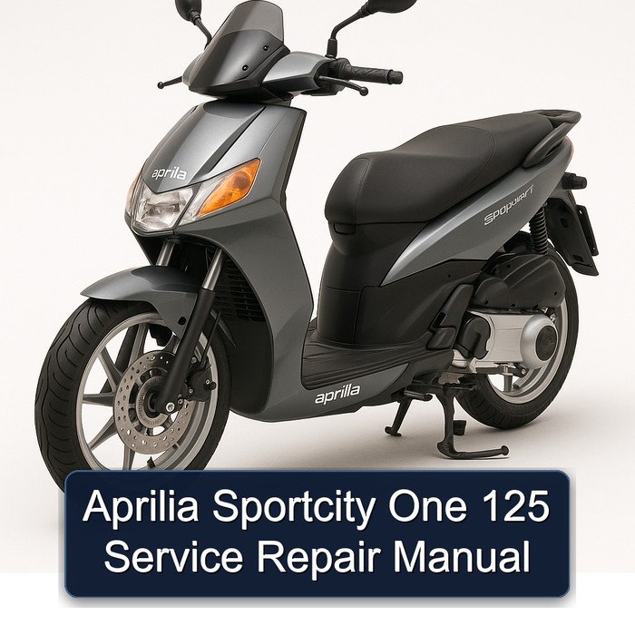 Aprilia Sportcity One 125 Manual de servicio y reparación