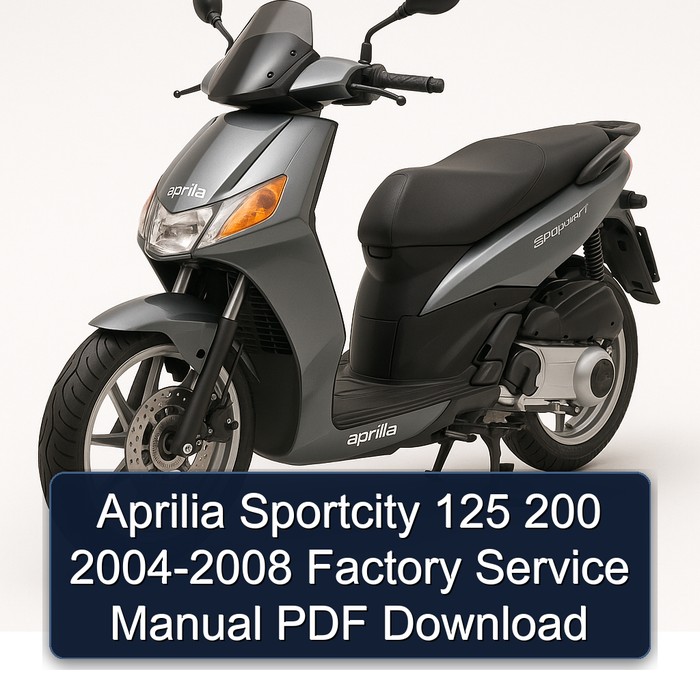 Aprilia Sportcity 125 200 2004-2008 Factory Service Manual PDF Download