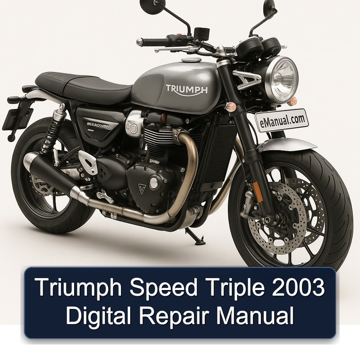Triumph Speed Triple 2003 Digital Repair Manual