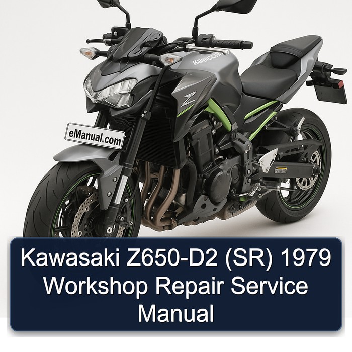 Kawasaki Z650-D2 (SR) 1979 Workshop Repair Service Manual