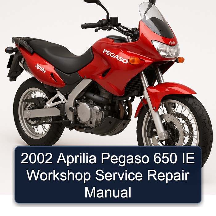 2002 Aprilia Pegaso 650 IE Workshop Manual de servicio y reparación