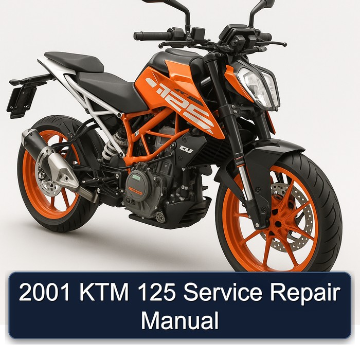 2001 KTM 125 Manual de servicio y reparación