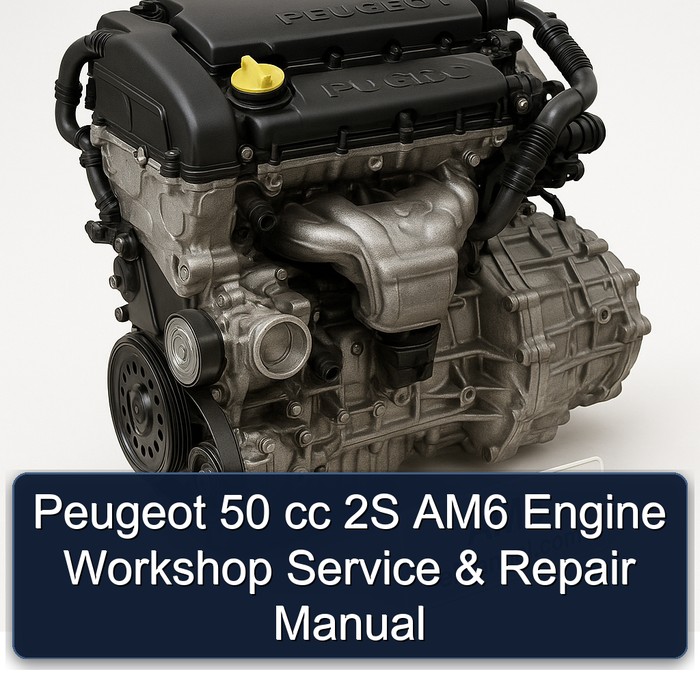 Manual de taller y reparación Peugeot 50 cc 2S AM6