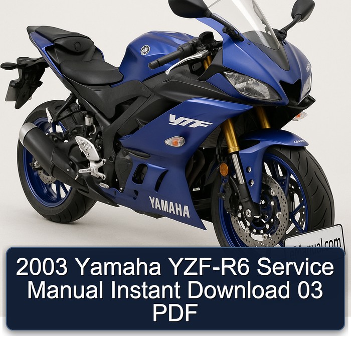 2003 Yamaha YZF-R6 Service Manual Instant Download 03 PDF