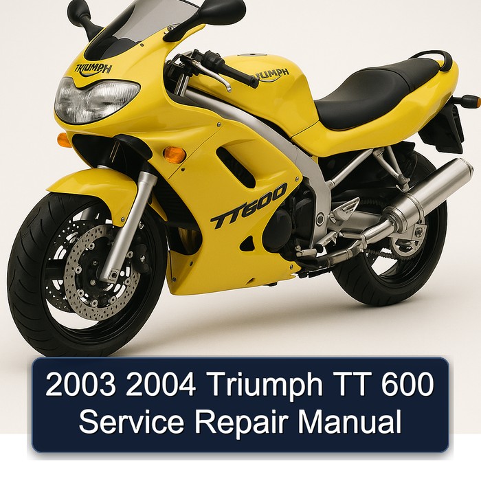 2003 2004 Triumph TT 600 Manual de servicio y reparación