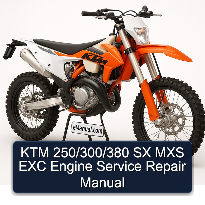 KTM 250/300/380 SX MXS EXC Engine Service Repair Manual