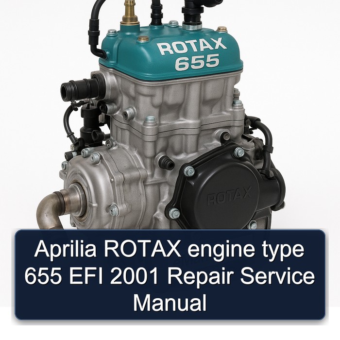 Aprilia ROTAX engine type 655 EFI 2001 Repair Service Manual