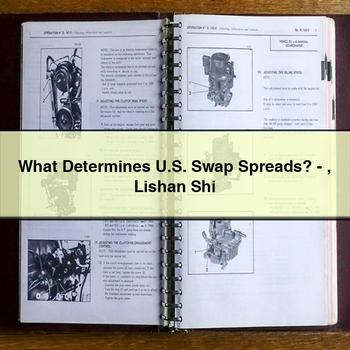 What Determines U.s. Swap Spreads?-Lishan Shi PDF Download