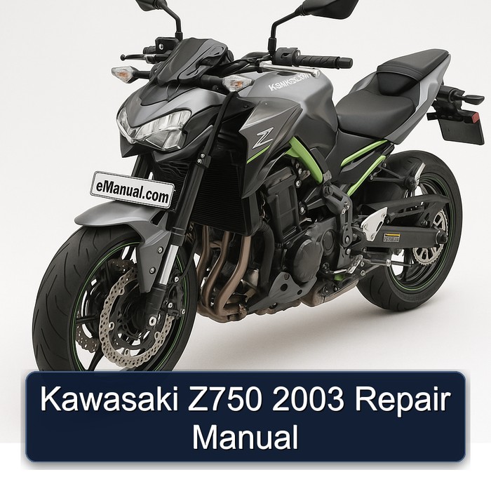 Kawasaki Z750 2003 Repair Manual