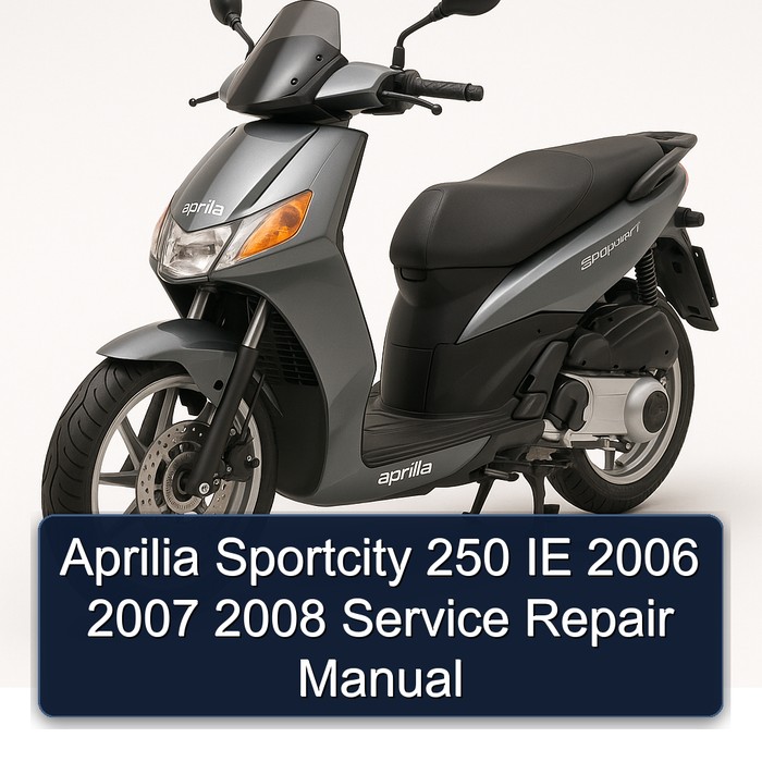 Aprilia Sportcity 250 IE 2006 2007 2008 Manual de servicio y reparación