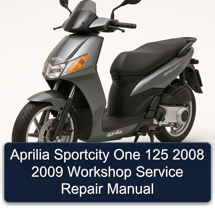 Aprilia Sportcity One 125 2008 2009 Workshop Manual de servicio y reparación