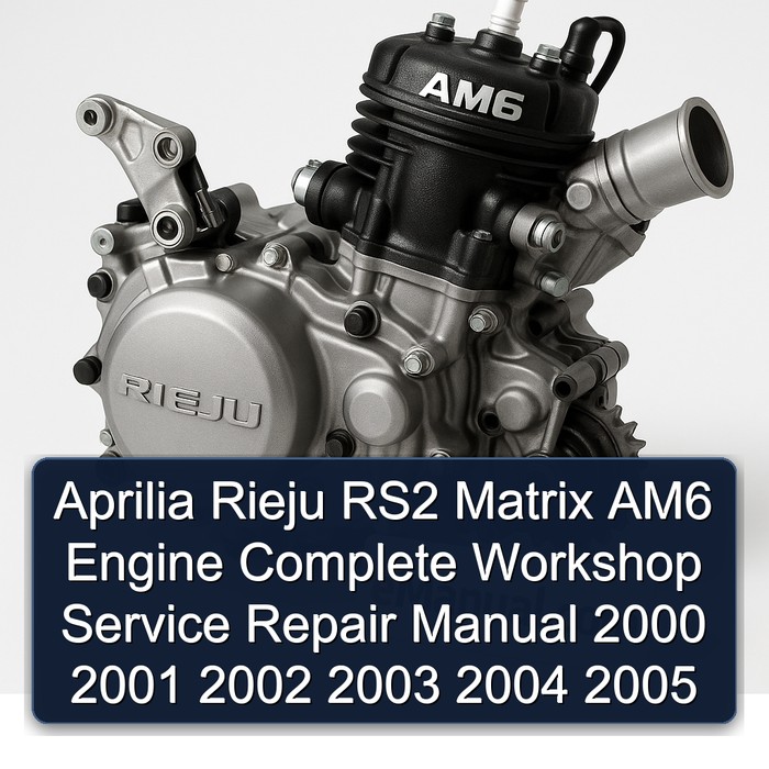 Manual de Reparación Completo Aprilia Rieju RS2 Matrix AM6 2000-2005