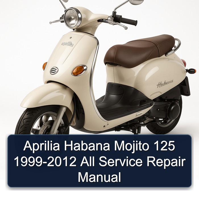 Aprilia Habana Mojito 125 1999-2012 All Manual de servicio y reparación