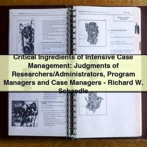 Critical Ingredients of Intensive Case Management