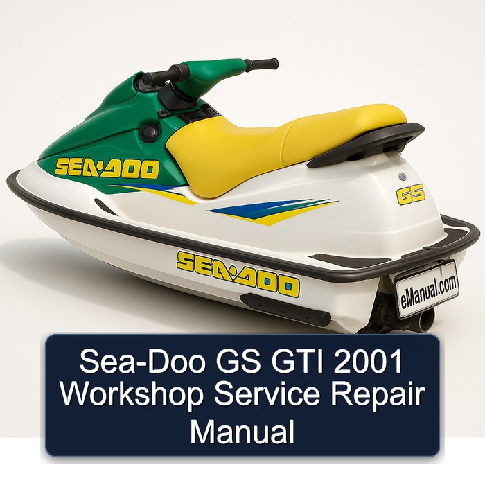 Sea-Doo GS GTI 2001 Workshop Service Repair Manual