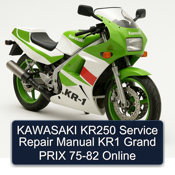 KAWASAKI KR250 Manual de servicio y reparación KR1 Grand PRIX 75-82 Online
