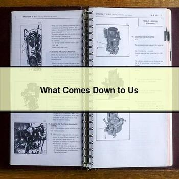 What Comes Down to Us PDF Download