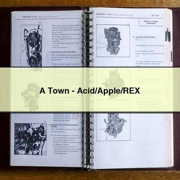 A Town-Acid/Apple/Rex PDF Download