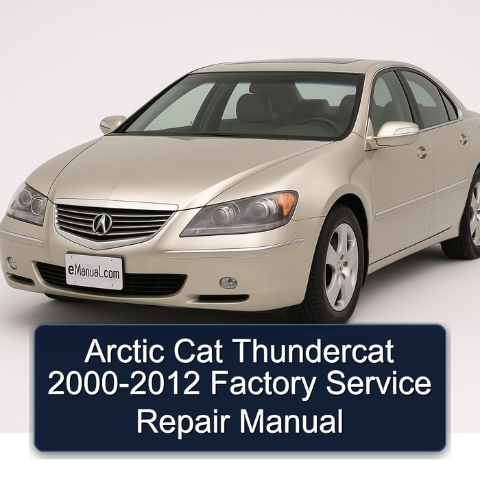 Arctic Cat Thundercat 2000-2012 Factory Service Repair Manual