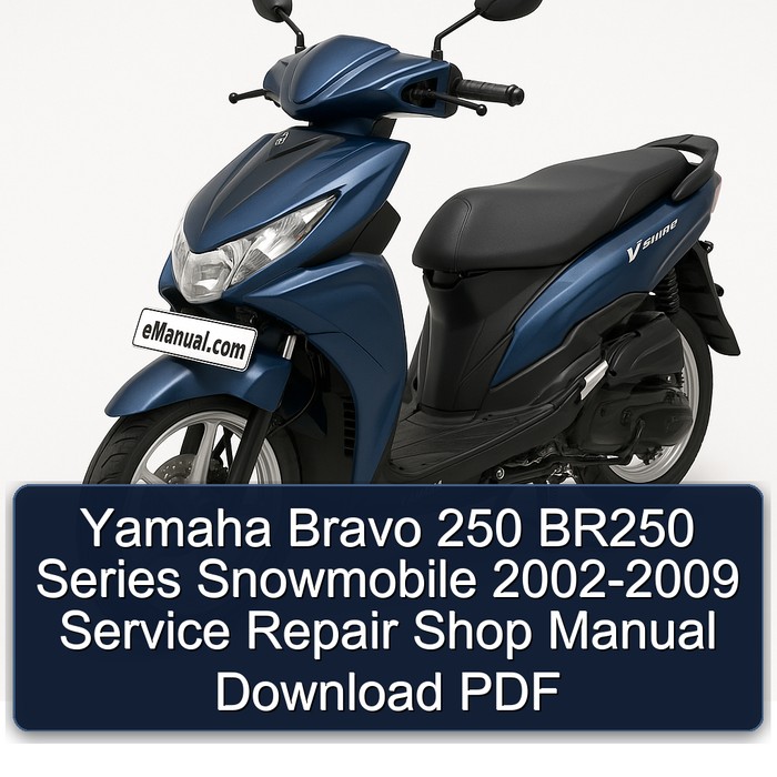 Yamaha Bravo 250 BR250 Series Snowmobile 2002-2009 Service Repair Shop Manual Download PDF