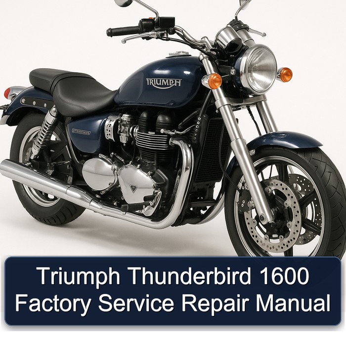 Triumph Thunderbird 1600 Factory Manual de servicio y reparación