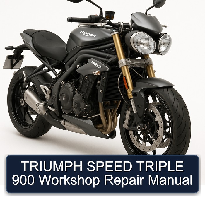 TRIUMPH SPEED TRIPLE 900 Workshop Repair Manual