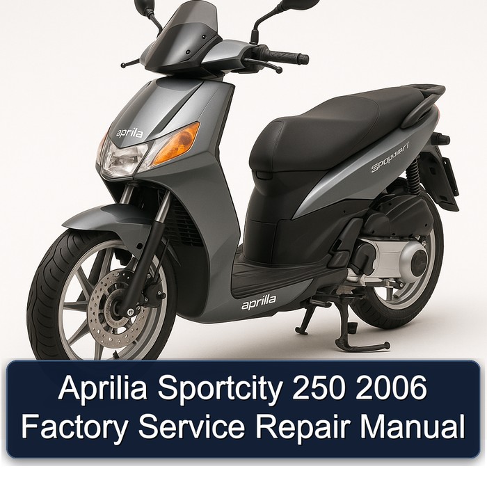 Aprilia Sportcity 250 2006 Factory Manual de servicio y reparación