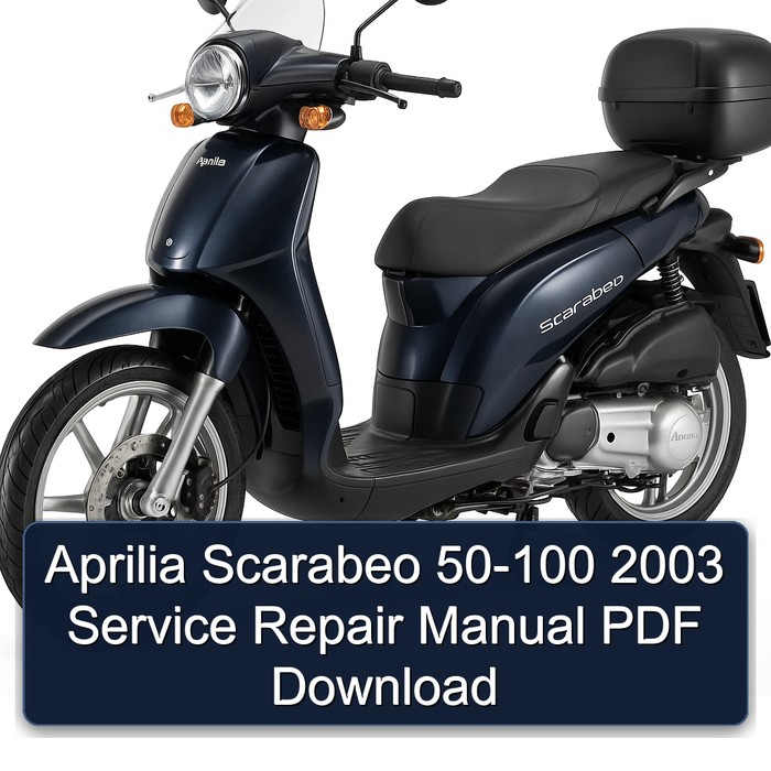 Aprilia Scarabeo 50-100 2003 Manual de servicio y reparación PDF Download