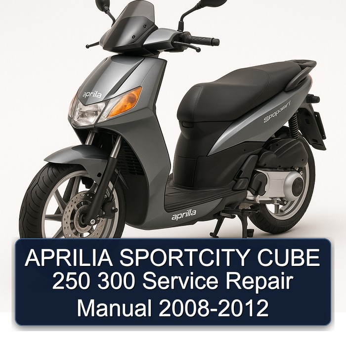APRILIA SPORTCITY CUBE 250 300 Manual de servicio y reparación 2008-2012