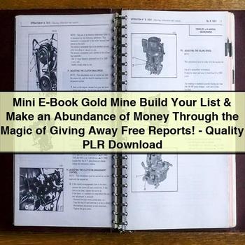 Mini E-Book Gold Mine Build Your List & Make an Abundance of Money Through the Magic of Giving Away Free Reports-Quality Plr PDF Download
