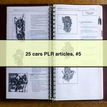 25 Cars Plr Articles #5 PDF Download