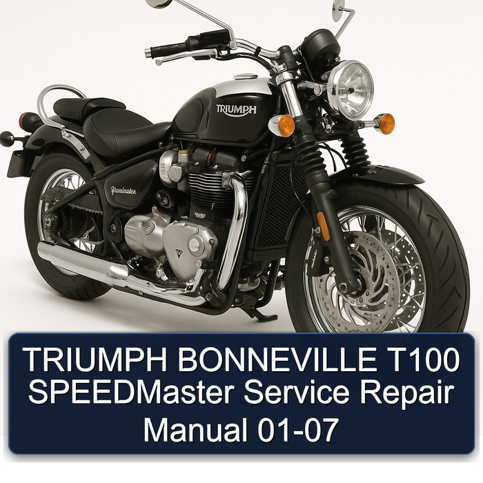 TRIUMPH BONNEVILLE T100 SPEEDMaster Manual de servicio y reparación 01-07