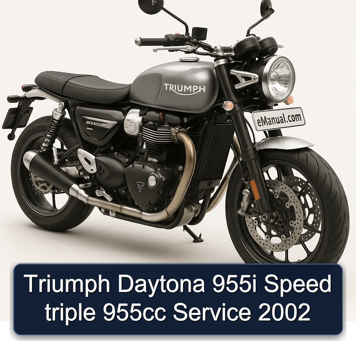 Triumph Daytona 955i Speed triple 955cc Service 2002