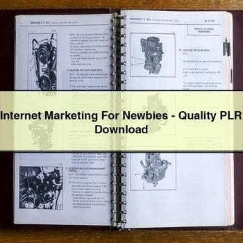 Internet Marketing for Newbies-Quality Plr PDF Download